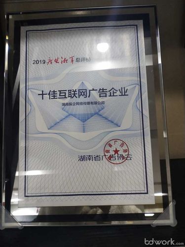 大振企网络 以精准媒体推广助力教育品牌与小说IP破局线上增长
