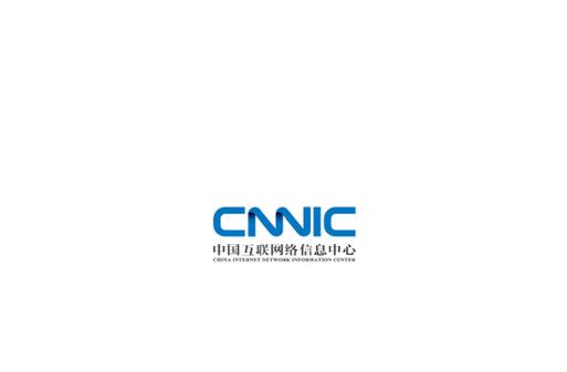 振企网络与中国互联网络信息中心（CNNIC）的关系解析