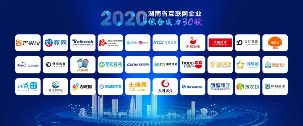 内六区第一！天心区6家企业荣登湖南省互联网企业50强，振企网络再创佳绩